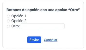 Opción «Otro»