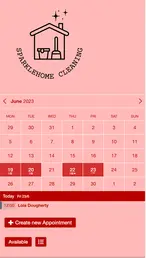 Example of a SuperSaaS schedule on a mobile device for household & cleaning services