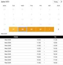 Example of a SuperSaaS widget-type schedule on a tablet device for fitting services