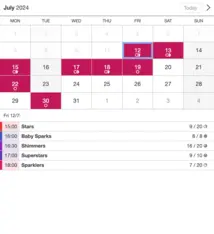 Example of a SuperSaaS widget-type schedule on a tablet device for dance lessons