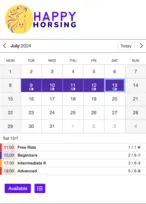 Example of a SuperSaaS schedule on a mobile device for horse riding lessons