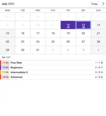 Example of a SuperSaaS widget-type schedule on a tablet device for horse riding lessons