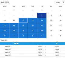 Example of a SuperSaaS widget-type schedule on a tablet device for healthcare services