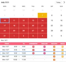 Example of a SuperSaaS widget-type schedule on a tablet device for offering private lessons