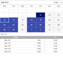 Example of a SuperSaaS widget-type schedule on a tablet device for professional service providers