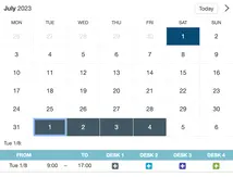 Example of a SuperSaaS widget-type schedule on a tablet device for workforce planning