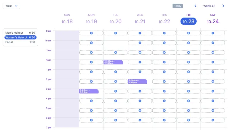 SuperSaaS beauty salon appointment scheduling on desktop