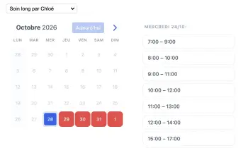 Exemple d’un widget de type planning SuperSaaS sur une tablette pour des services de thérapie par massage.
